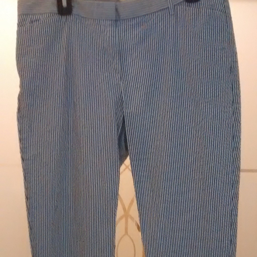 Gap Slim Cropped Pants Size 12T